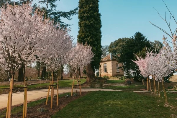 Arlington Grove Care Home